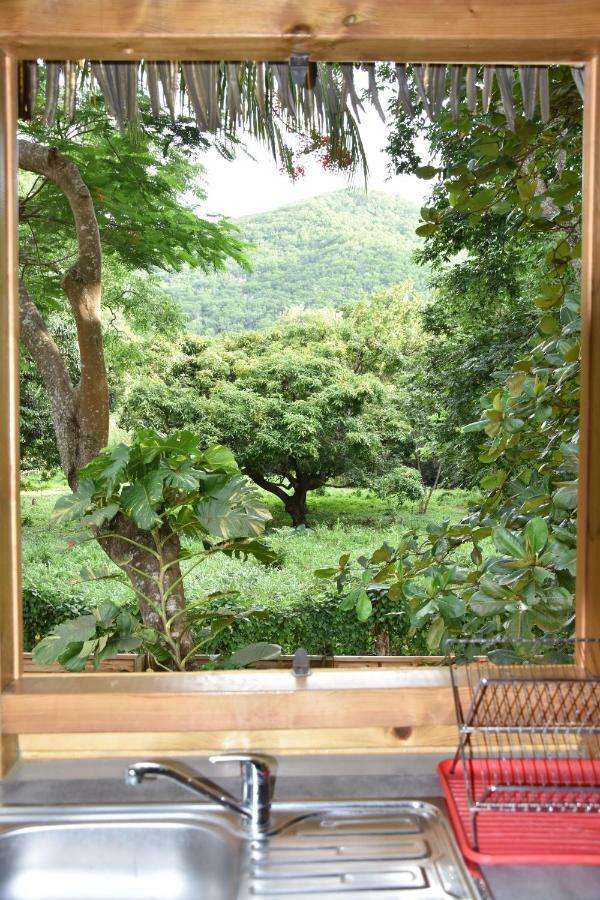 Gite Du Manial "Cabane Du Sentier Des Etoiles" Pointe-Noire Habitación foto